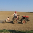 jezd�n� na v�lci zp�sobuje hemeroidy :-)